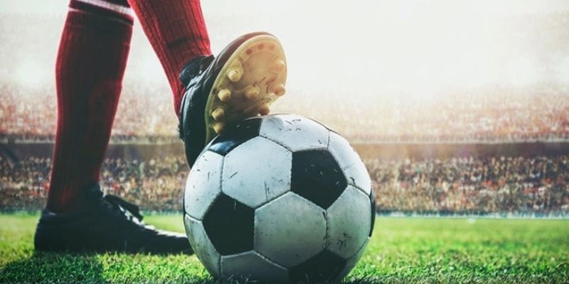 Chiến thuật theo dõi biến động bóng và tỉ lệ châu Á song song